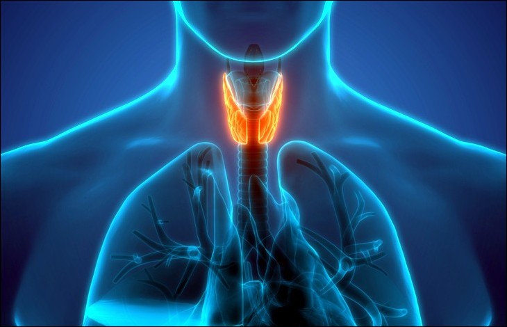 Laboratorio Análisis Clínicos Perfil Embarazo Pre Natal